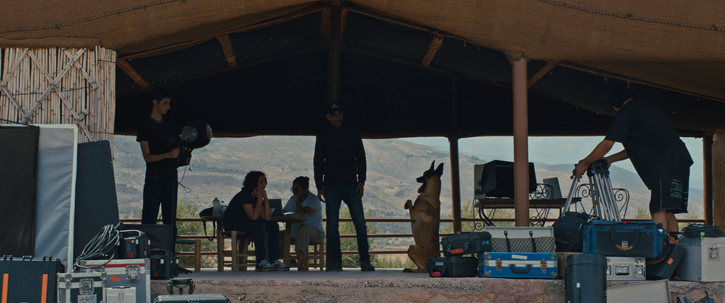 Why Did You Leave the Horse Alone? Why Did You Leave the Horse Alone?