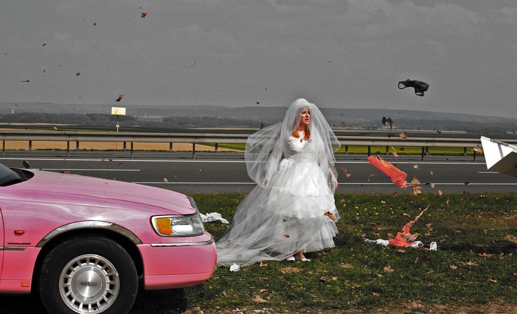 Crazy Pink Limo Crazy Pink Limo