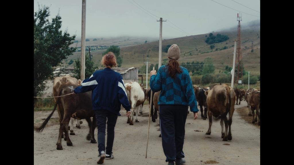 Il faut tout un village... Il faut tout un village...