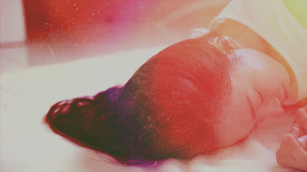 Zed's Dream Zed's Dream