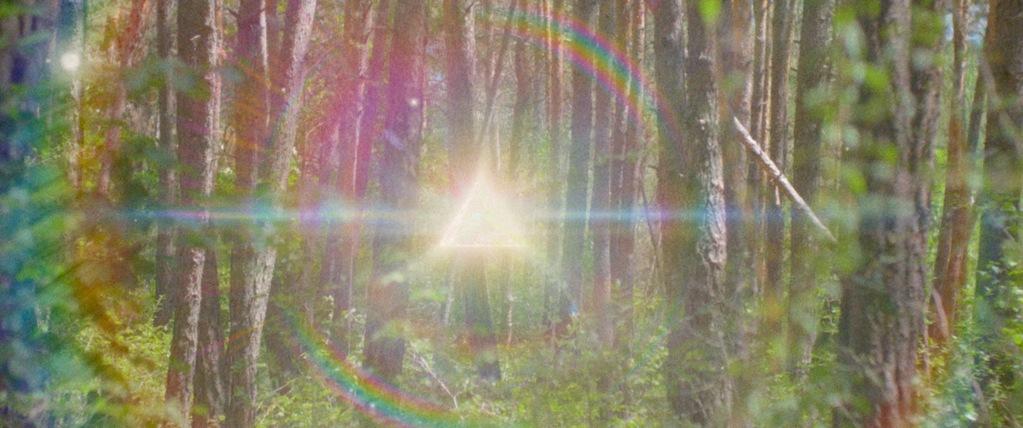 The Chamois' Cry The Chamois' Cry