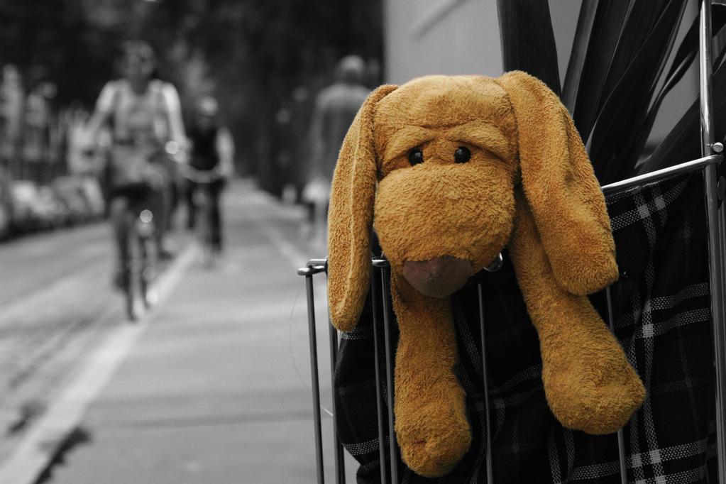 San Francisco International Film Festival - 2009