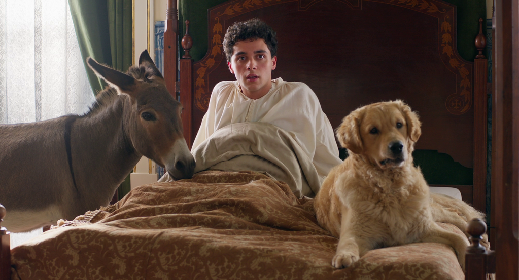 L'Arbre de la connaissance L'Arbre de la connaissance