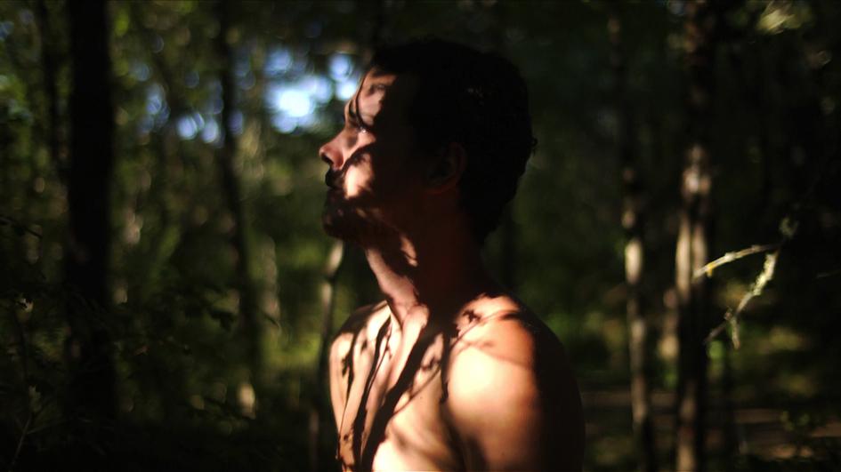 Festival Internacional de Curtas de São Paulo - 2014 Festival Internacional de Curtas de São Paulo - 2014