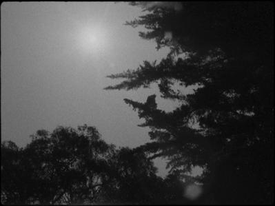 Sol negro (Soleil noir) Sol negro (Soleil noir)