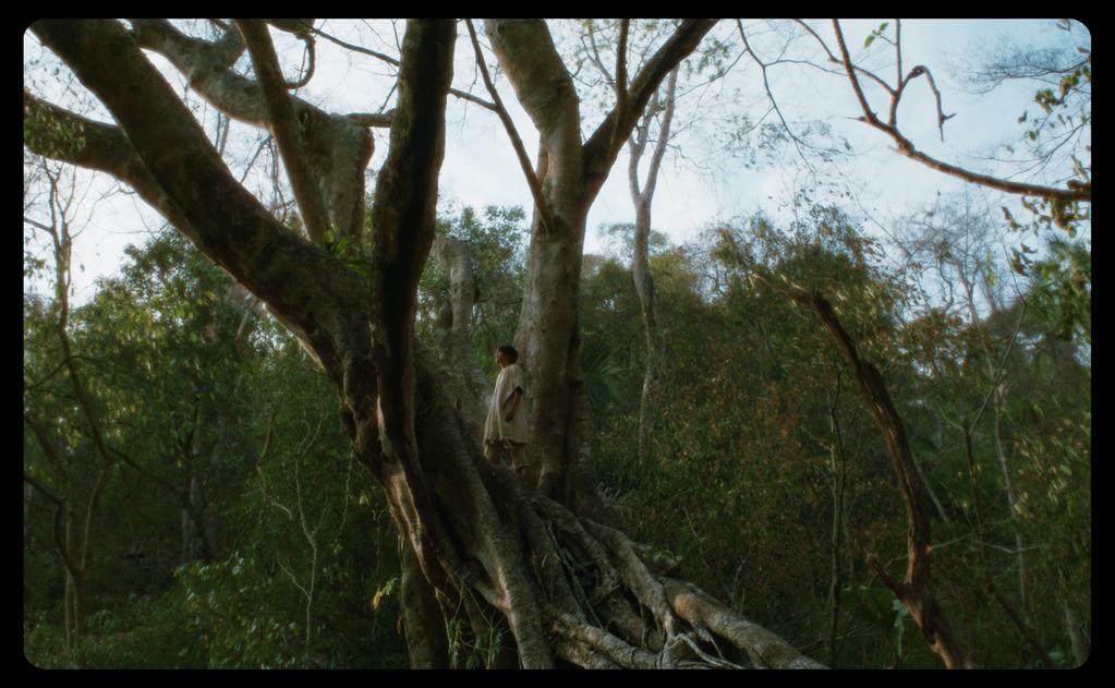 New York Film Festival (NYFF) - 2023