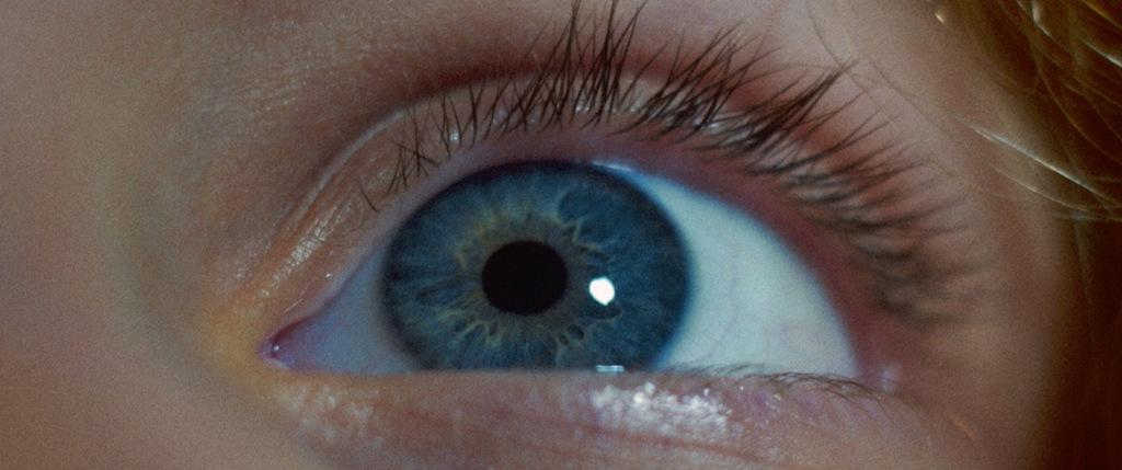 The Chamois' Cry The Chamois' Cry