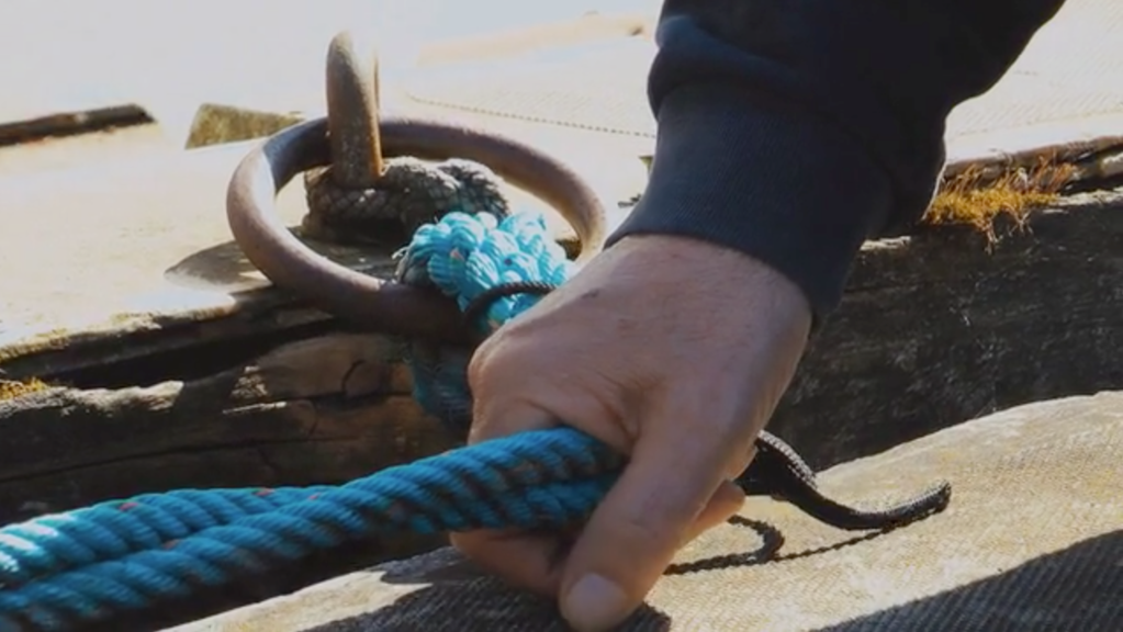 &Eacute;milie Le Clerc