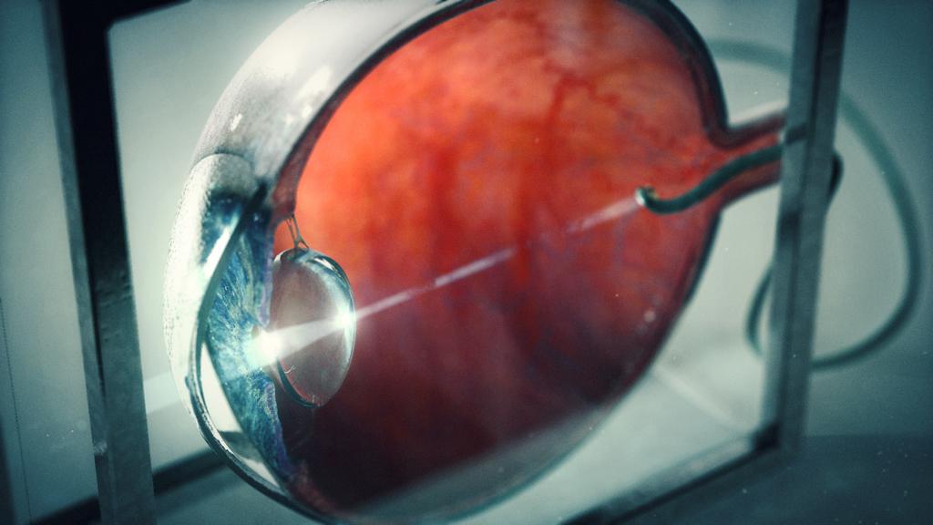 Florent Trocquenet-Lopez