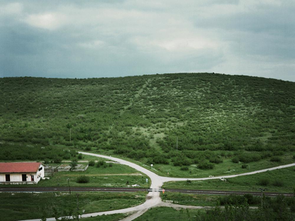 Drama International Short Film Festival (DISFF) - 2016