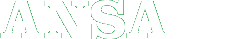 Ansa Ansa