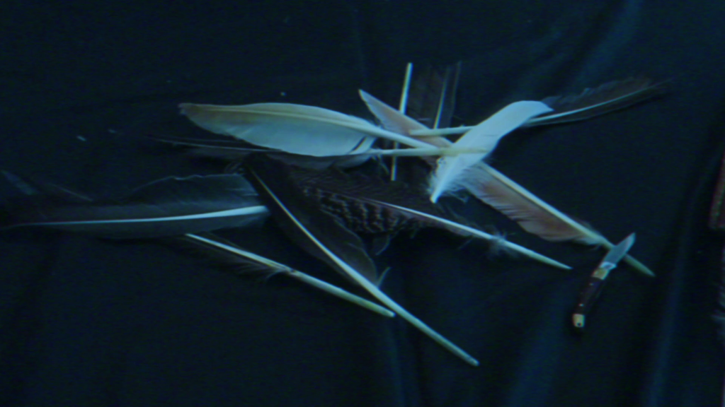 The Music of the Birds The Music of the Birds