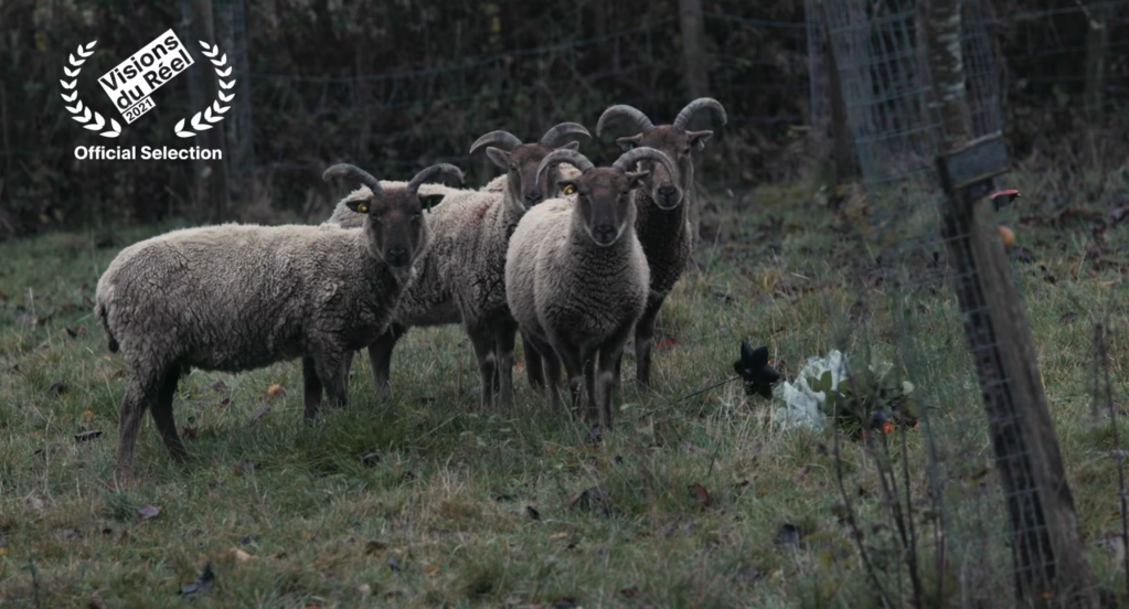 Some Kind of Intimacy Some Kind of Intimacy