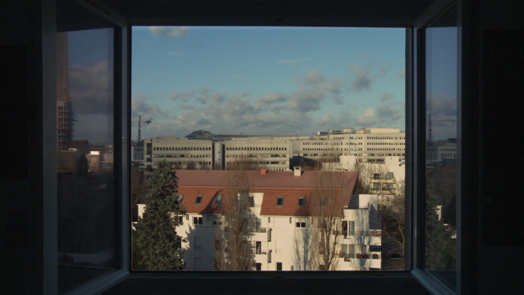 The Vigilants The Vigilants