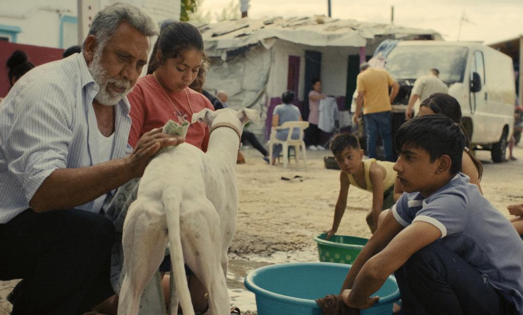 Ciudad sin sueño Ciudad sin sueño