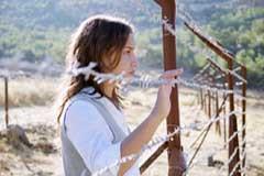 Cerf-volant (Le) Cerf-volant (Le)