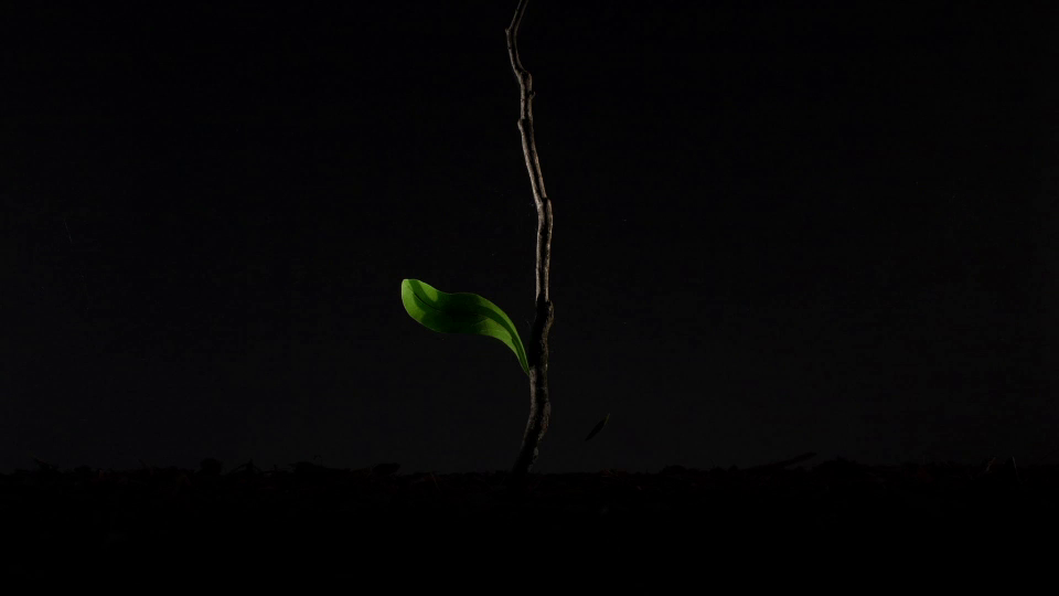 Abitibi-T&eacute;miscamingue Film Festival (Rouyn-Noranda) - 2014