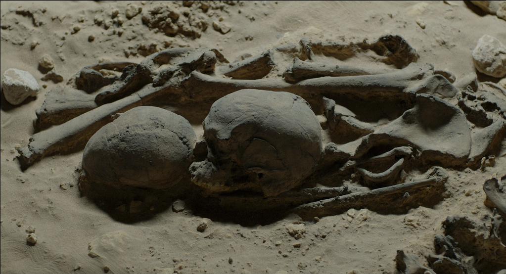 Sharjah Art Foundation 