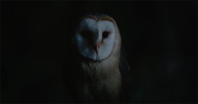 Festival Internacional de Cortometrajes de Praga - 2019