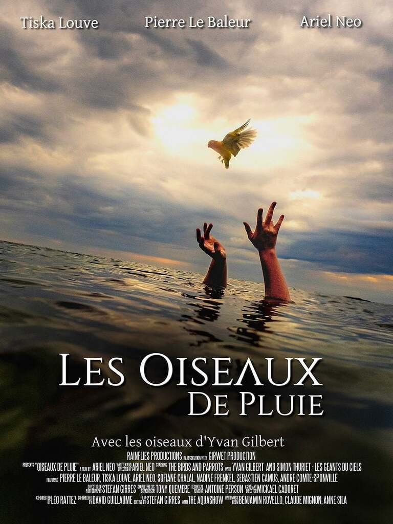Les Oiseaux de pluie Les Oiseaux de pluie