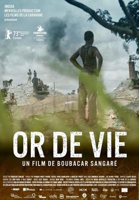 A Golden Life A Golden Life