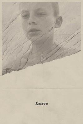 Fauve Fauve