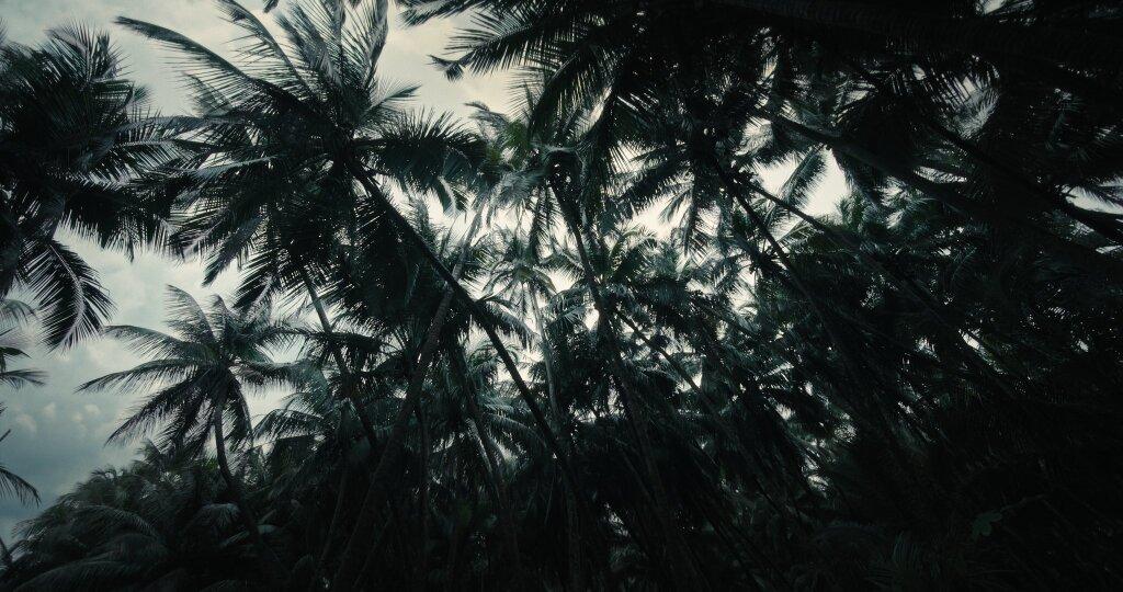 Tu finiras au bagne Tu finiras au bagne