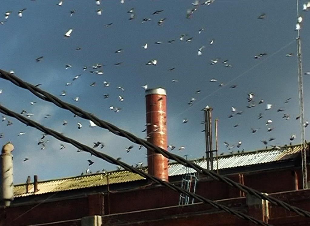 My Mother's Factory My Mother's Factory