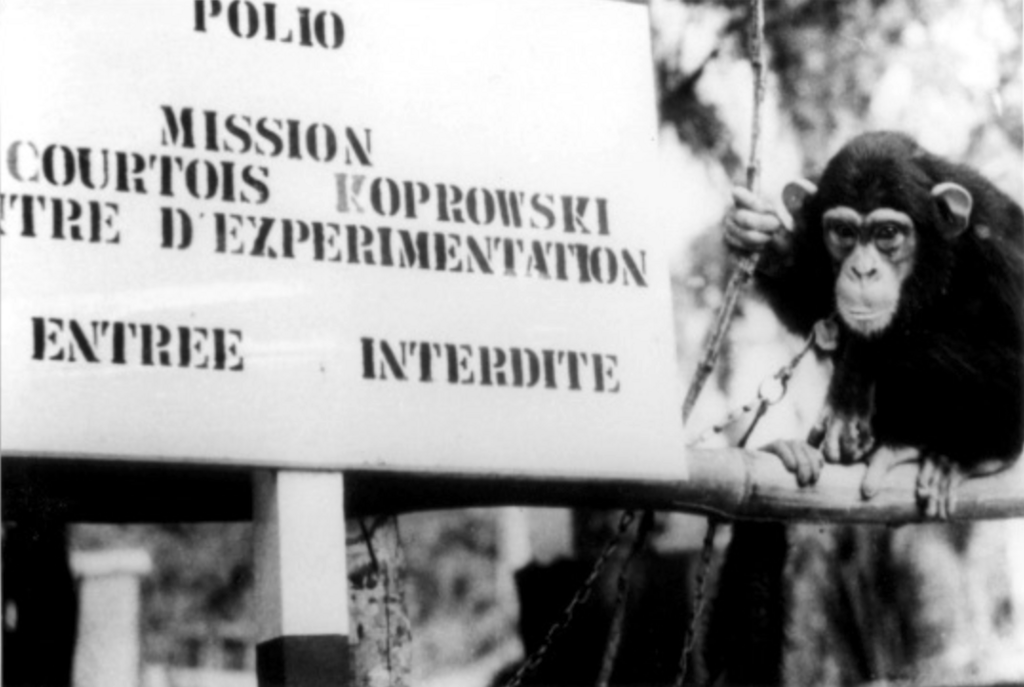 Les Origines du sida Les Origines du sida