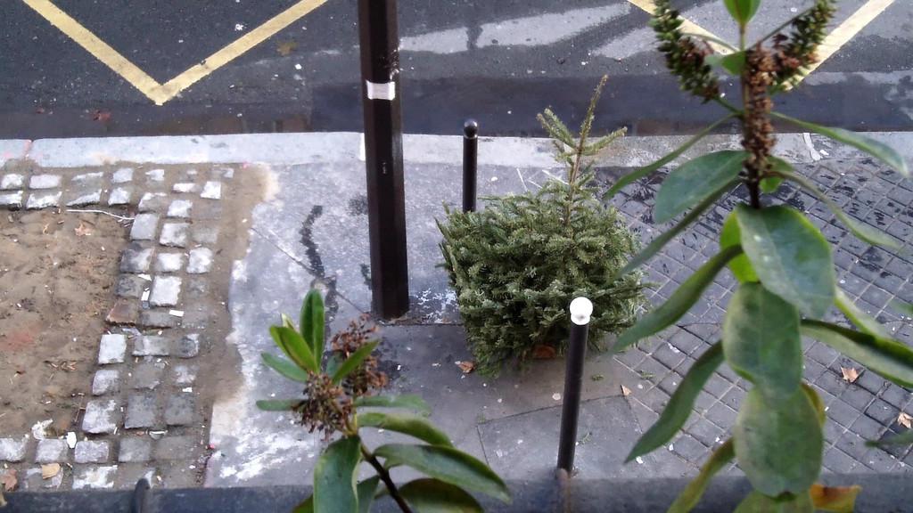 Impatient Chronicles