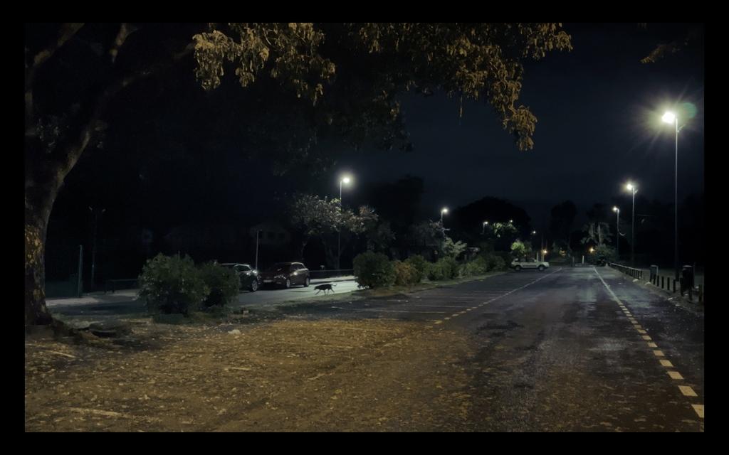 Alejandro Van Zandt-Escobar