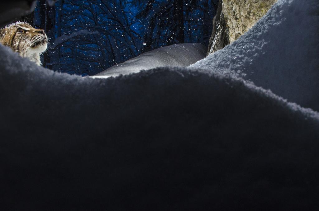 Bruno Abate - &copy; Laurent Geslin