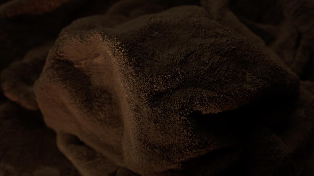 L'éléphant s'évapore L'éléphant s'évapore