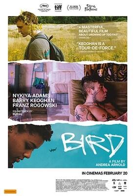 Bird - Australia Bird - Australia