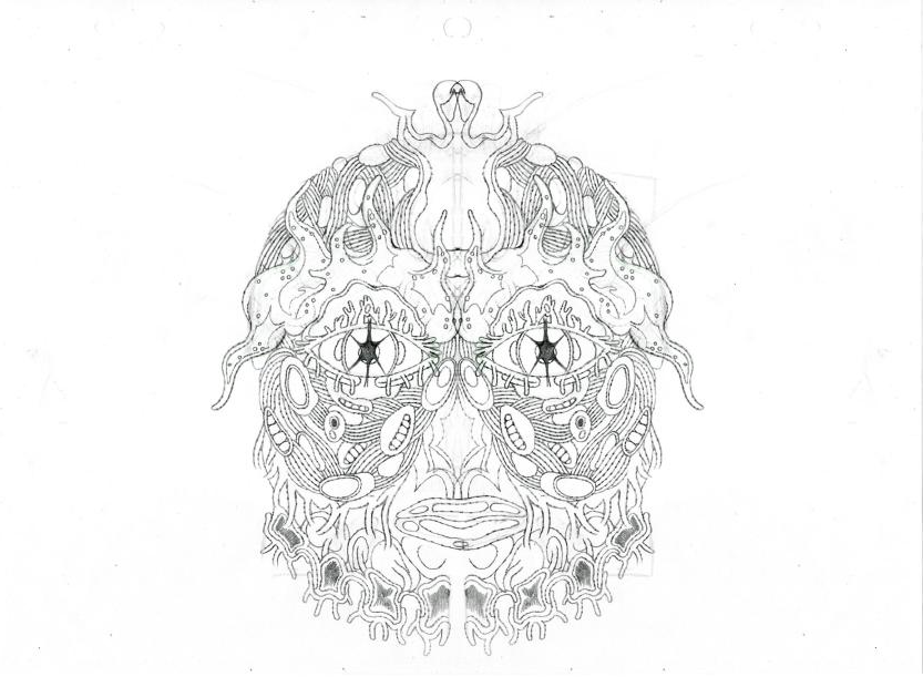 The Discrete Shapes