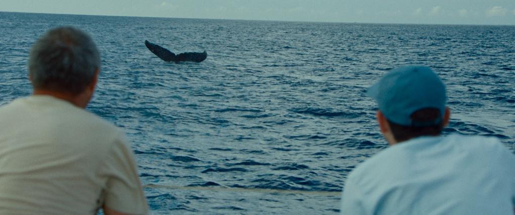 The Musician and the Whale - &copy; Vald&egrave;s