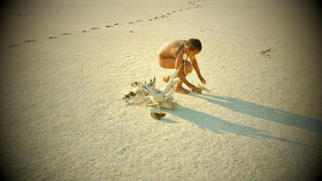 Jerusalem Film Festival - 2022 Jerusalem Film Festival - 2022