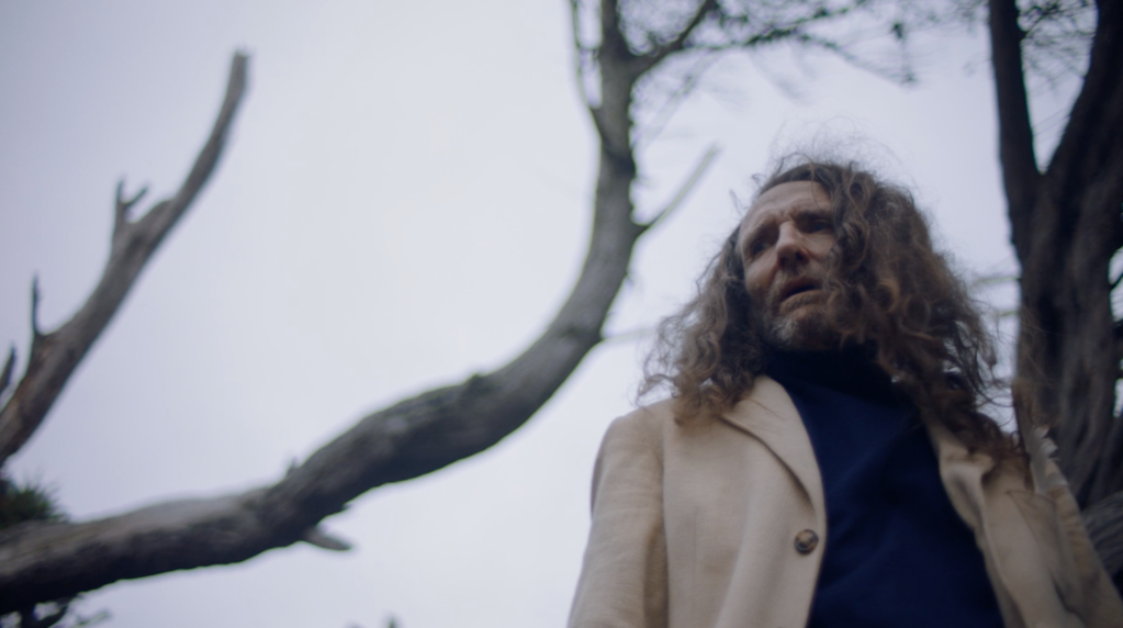 Crabes du supermarché Crabes du supermarché