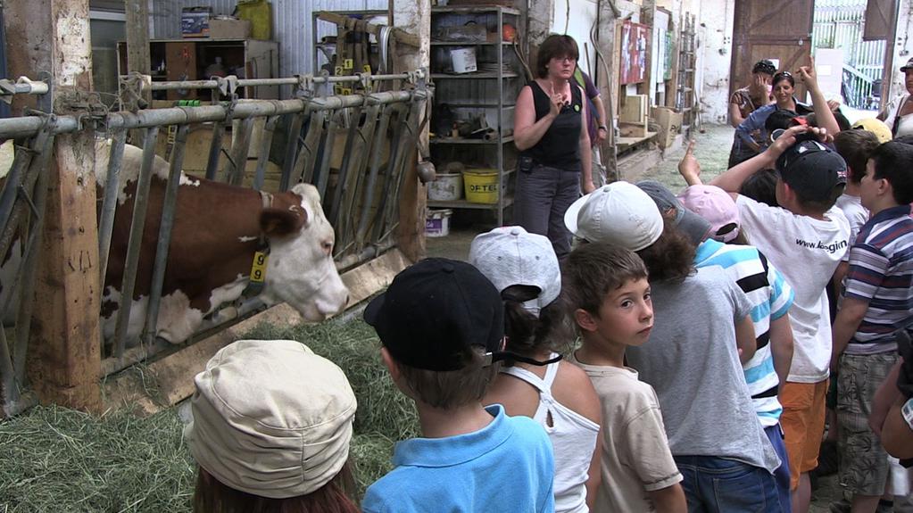 &Eacute;milie Souillot