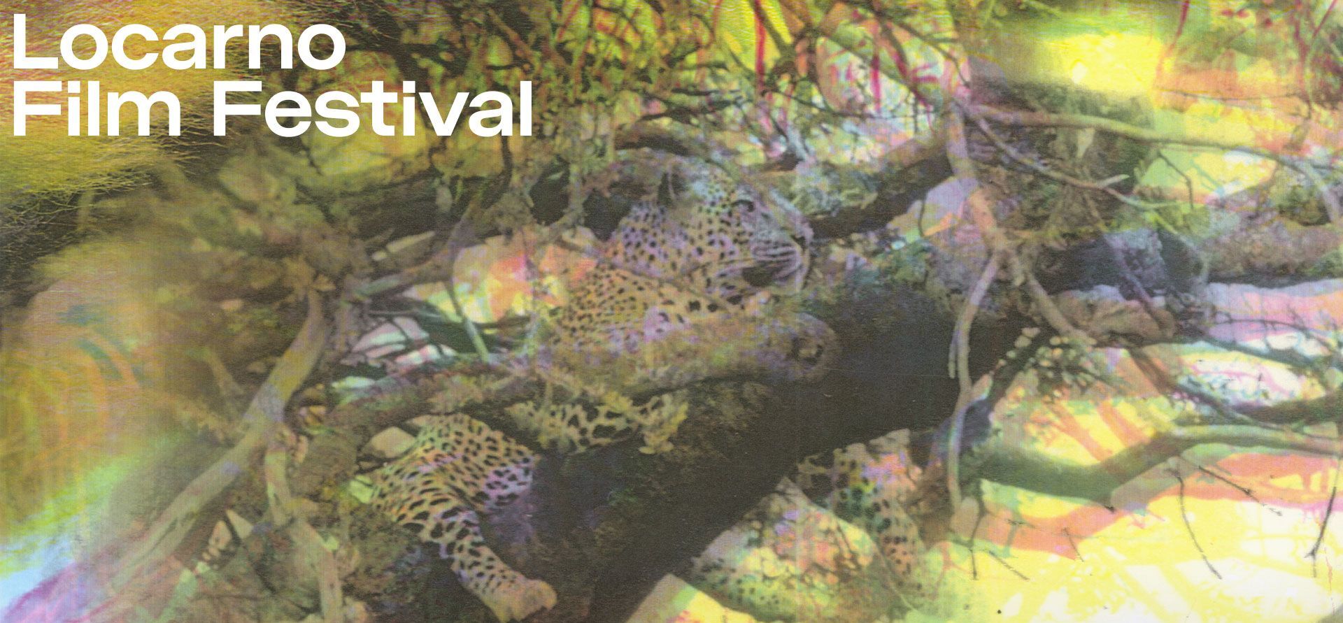 All the French films at the 78th Locarno Film Festival All the French films at the 78th Locarno Film Festival