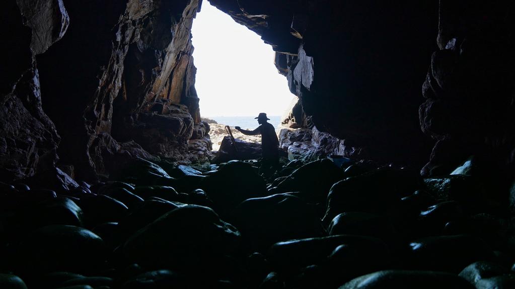 Ricardo and Painting Ricardo and Painting