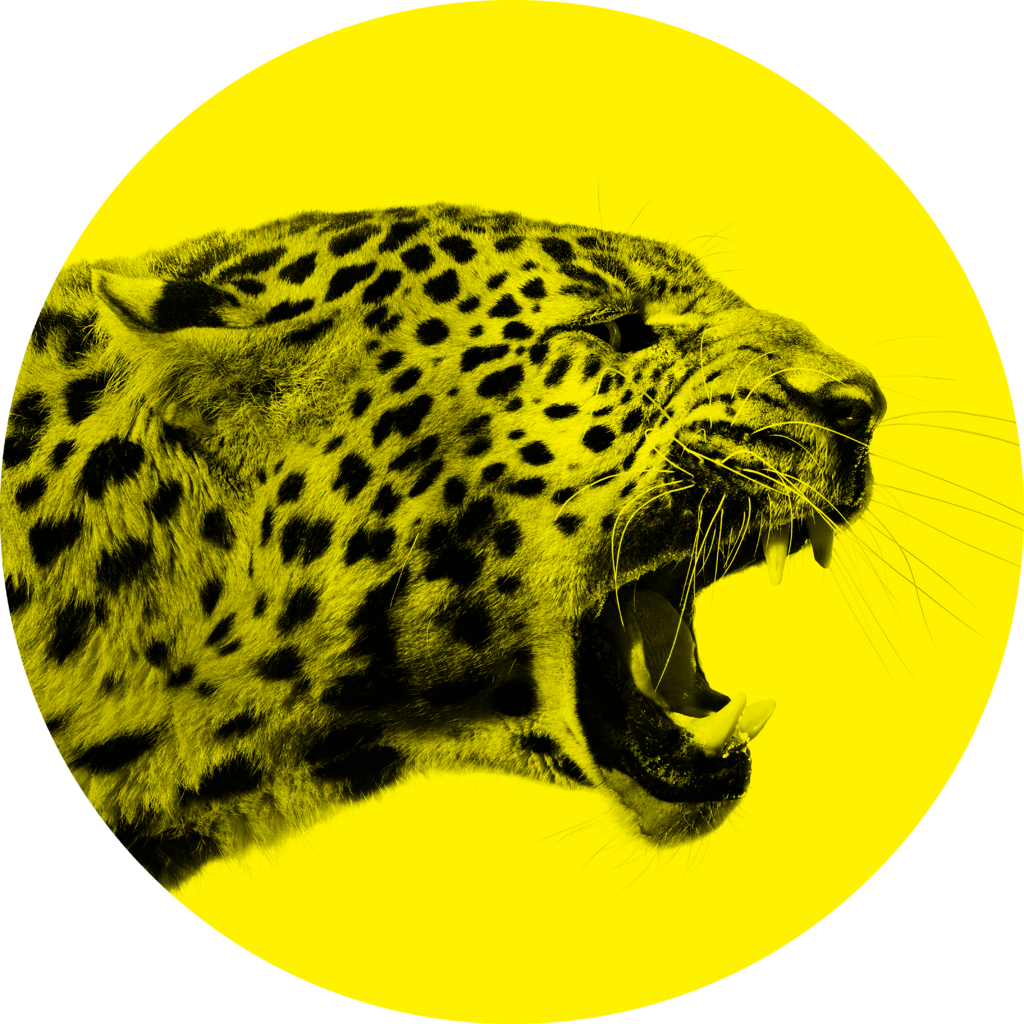 Locarno Film Festival Locarno Film Festival