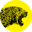 Locarno Film Festival