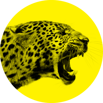 Festival de Cine de Locarno - 2026