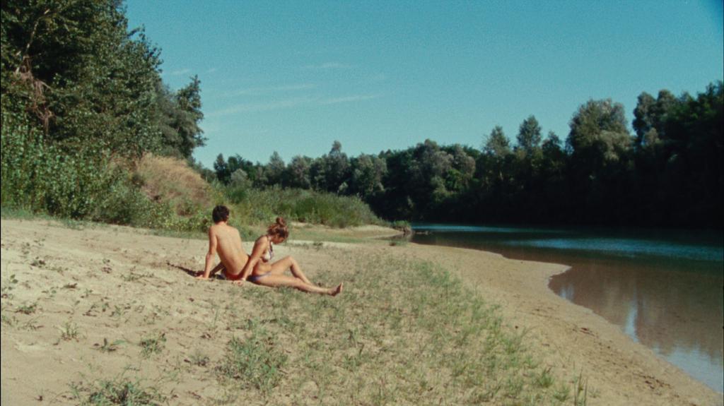 ACID - Cannes - 2012