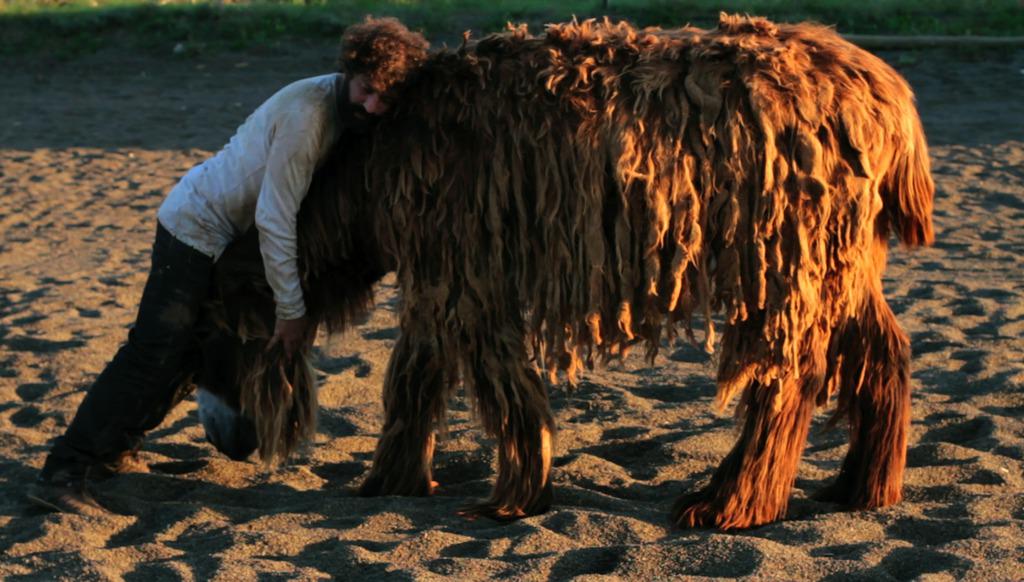 Festival Internacional de Cine de San Francisco - 2016