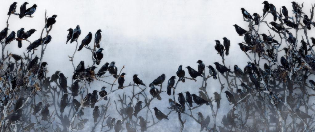 Dansk Tegnefilm Dansk Tegnefilm