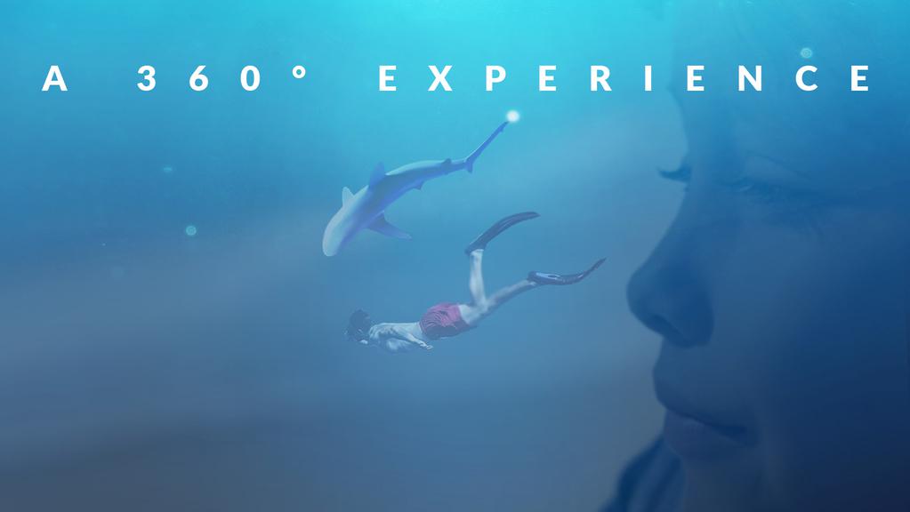 Festival de Cinema Franc&ecirc;s do Brasil  - 2017