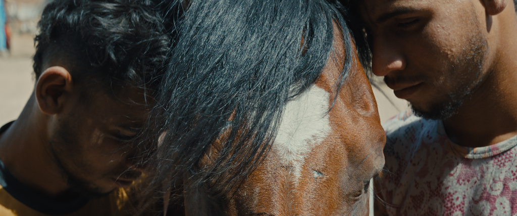 Pourquoi as-tu laissé le cheval à sa solitude ? Pourquoi as-tu laissé le cheval à sa solitude ?