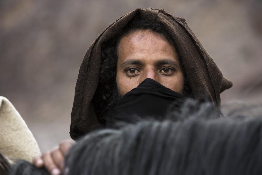 Mostra - S&atilde;o Paulo International Film Festival - 2016